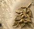 Decorative olive branch wall art in a textured beige setting with elegant text on the left and soft leaf shadows across the surface.

