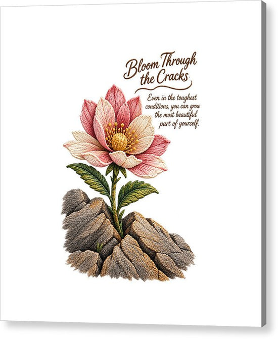 Flower Blooms Amid Rock - Acrylic Print